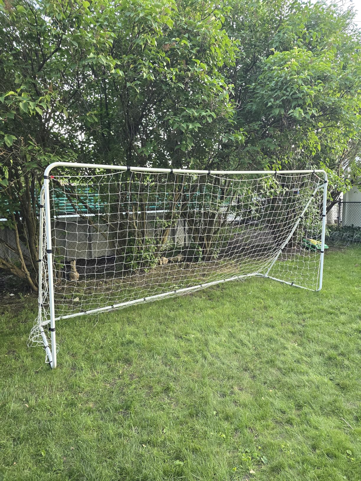 ZENY Portable Soccer Goal for Backyard,12x6 / 10x6.5 / 8x5 / 6x4 ft Kids Adults Soccer Net and Frame for Home Backyard Practice Training Goals, Soccer Training Equipment customer photo 2