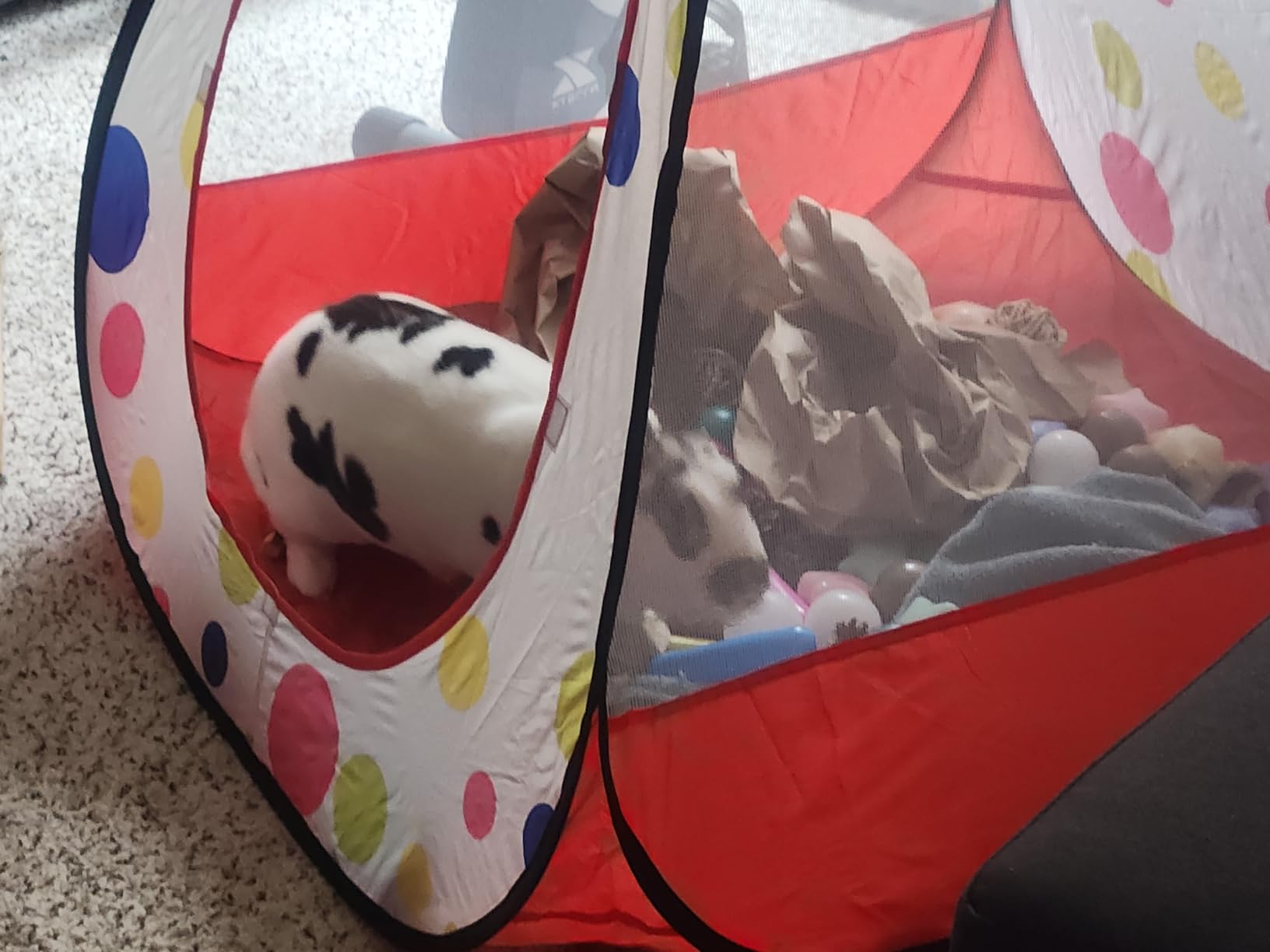 Kids Ball Pit Pop Up Playhouse Tent for Boys Girls Babies and Toddlers, Indoor Outdoor Toy (Balls Not Included) customer photo 1