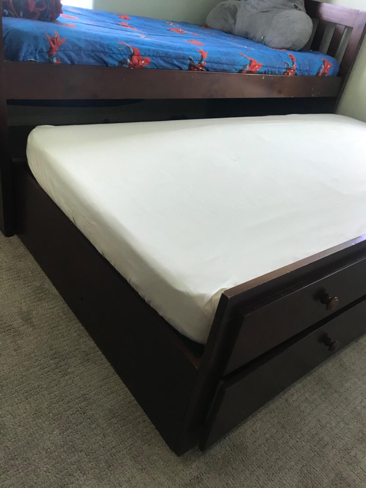 Twin (6-8 in. Deep) SureGuard Mattress Encasement - 100% Waterproof, Bed Bug Proof, Hypoallergenic - Premium Zippered Six-Sided Cover customer photo 1