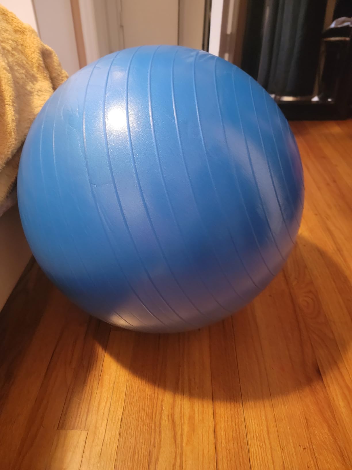 ProBody Pilates Exercise Ball - Multiple Sizes Gym Grade Balance Ball for Fitness, Yoga, Workout, Pregnancy & Physical Therapy customer photo 1