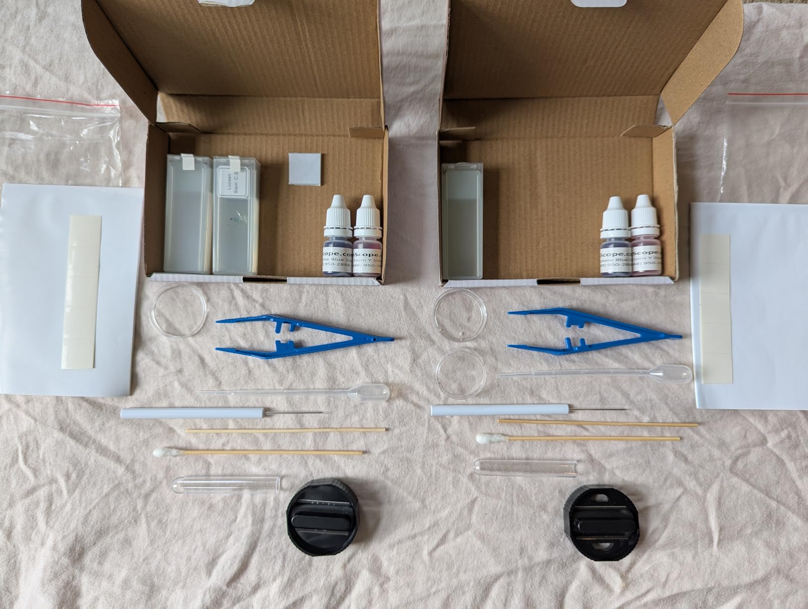 AmScope Microscope Slide Preparation Kit - Includes Blank Microscope Slides, Eosin Red & Methylene Blue Stain Powders, Tweezers, Swab & More - 22-Piece Kit customer photo 2