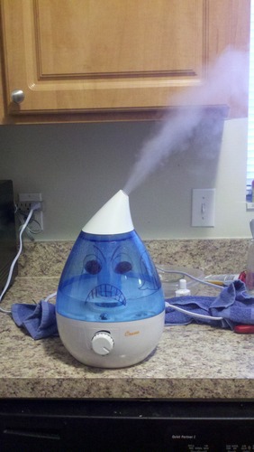 Crane Ultrasonic Cool Mist Humidifier for Bedroom, Baby Nursery, Kids Room, Plants, or Office, Large 1 Gallon Tank, Filter Optional, Clear and White customer photo 1