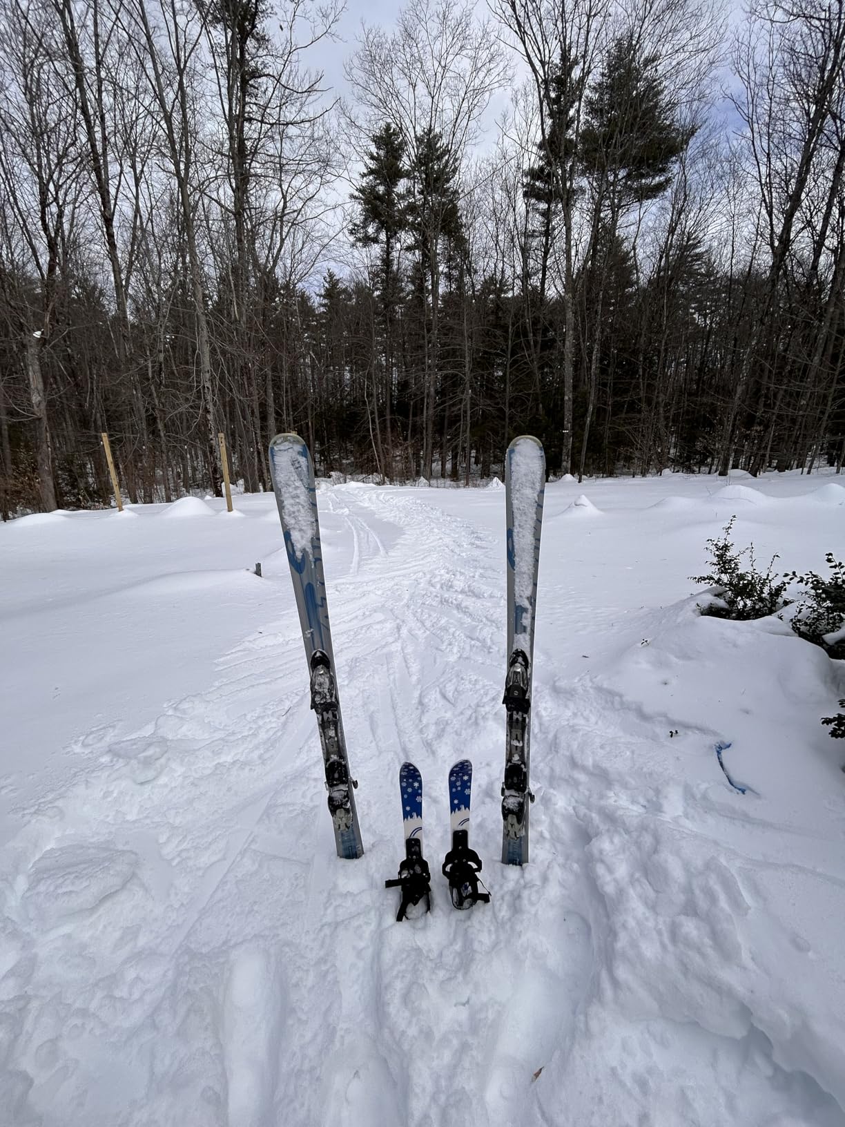 Odoland Kid's Beginner Snow Skis and Poles, Low-Resistant Ski Boards for Age 4 and Under, Lightweight, Sturdy and Safe, Blue customer photo 1