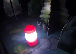 ThinkFun Shadows in the Forest - Unique Play-in-the-Dark Board Game | Ideal for Kids and Adults | Stimulating Brain Teaser | Innovative Gameplay customer photo 2