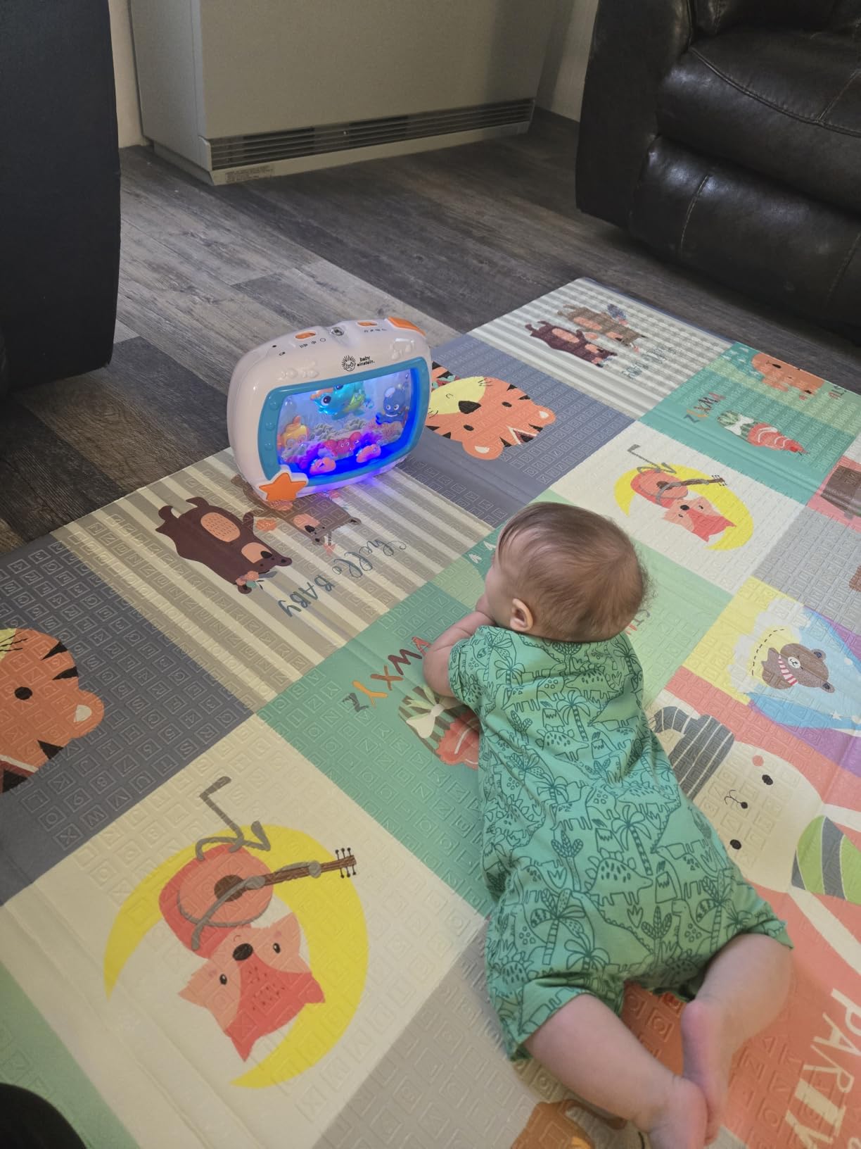 Baby Einstein Sea Dreams Soother Musical Crib Toy and Sound Machine, Newborn and up customer photo 2