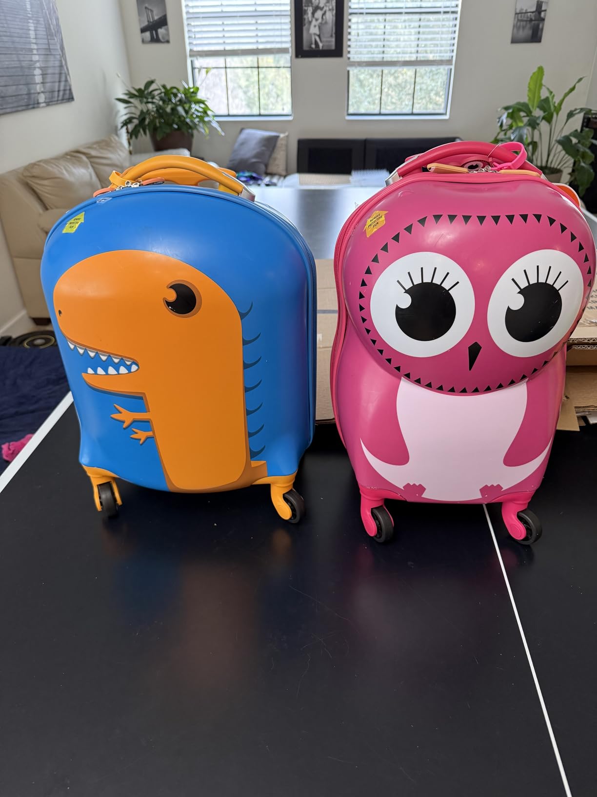 Rockland Jr. Kids' My First Hardside Spinner Luggage, Carry-On, Shark customer photo 1