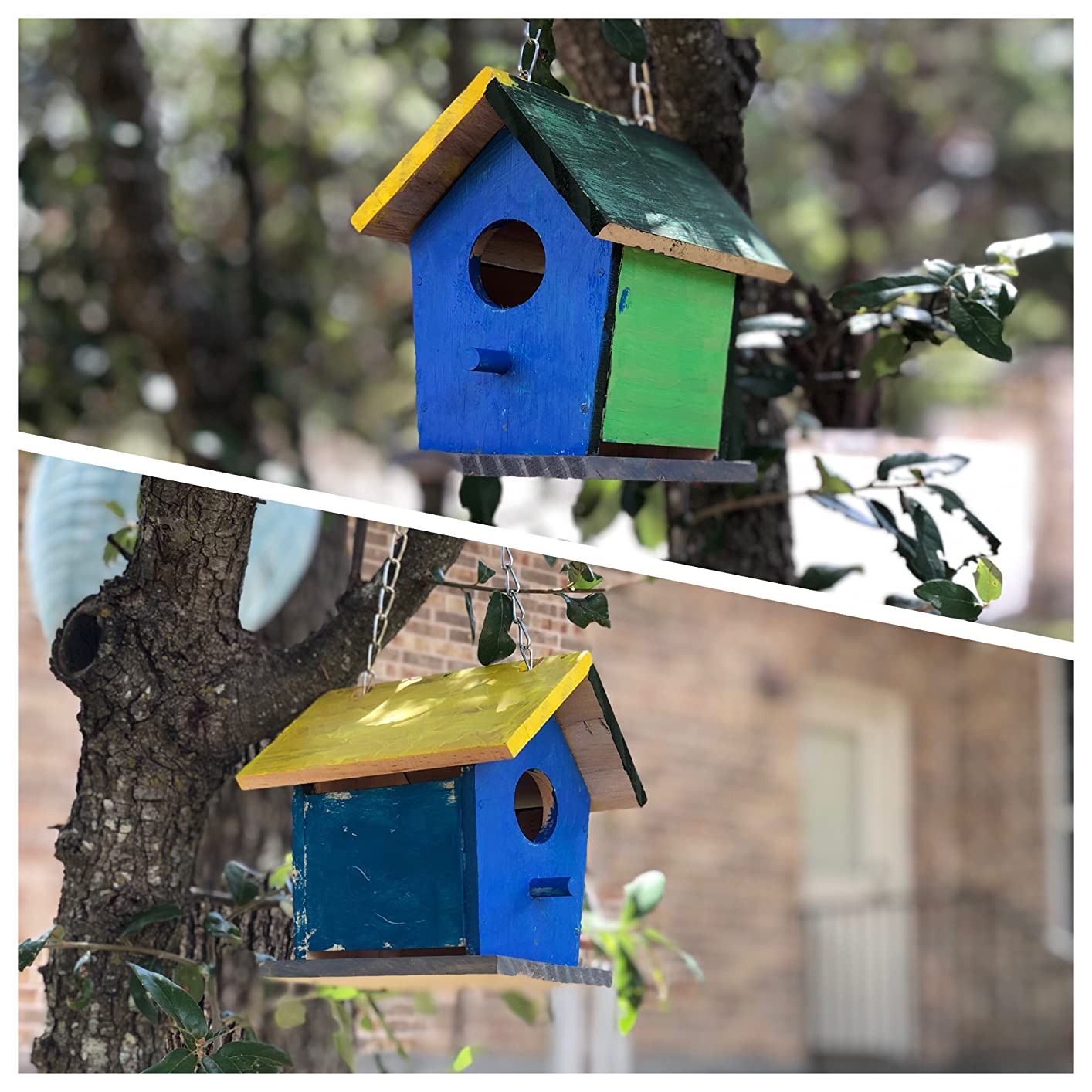 Beetle & Bee Build A Bird Bungalow - DIY Kid Art Craft Outdoor Birdhouse Kit, House Painting Kit for Kids, Hardware Glue Included- 4 Paints, 1 Brush, 7 Wooden Pcs, Chain For Tree Hanging Age 5+ customer photo 2
