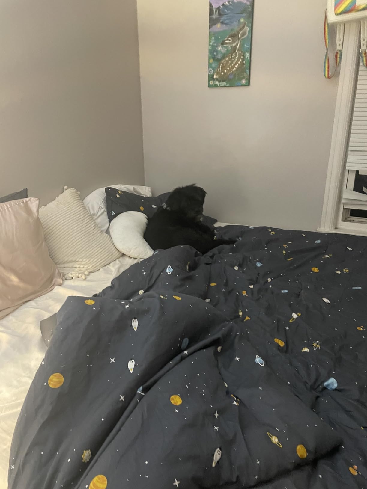 Wake In Cloud - Space Comforter Set, 100% Cotton Fabric, Constellation Star Rocket Astronaut Themed for Kids Boys, Twin/Twin XL customer photo 2