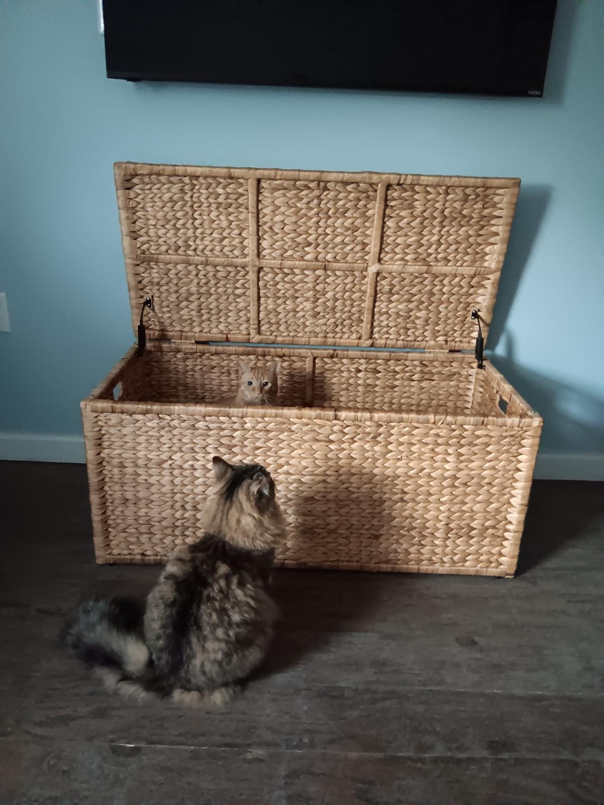 eHemco Heavy-duty Water Hyacinth Wicker Storage Trunk with Metal Frame, 30 by 17.5 by 17.5 Inches, Natural customer photo 1