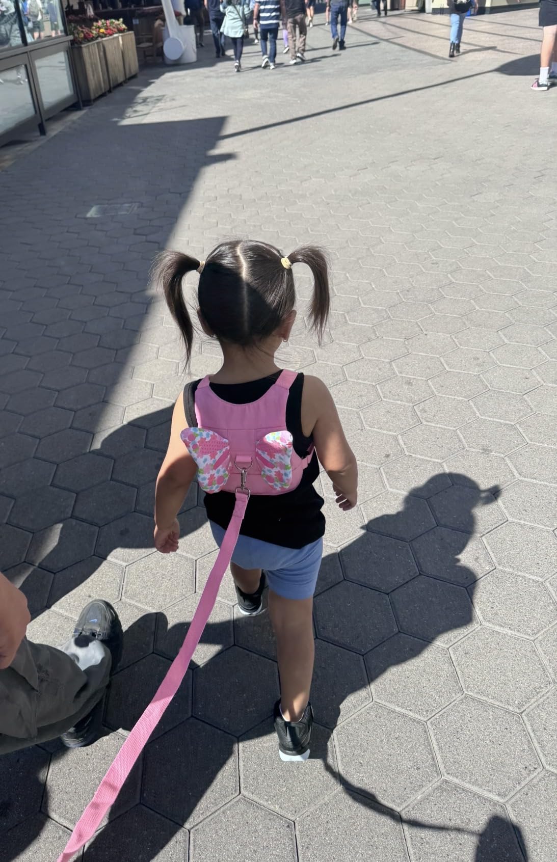 Accmor 3 in 1 Toddler Harness Leashes + Anti Lost Wrist Link, Kids Harness Children Leash for Girls, Child Anti Lost Leash Baby Cute Harness Belt Strap Hold Kids Close While Walking customer photo 1