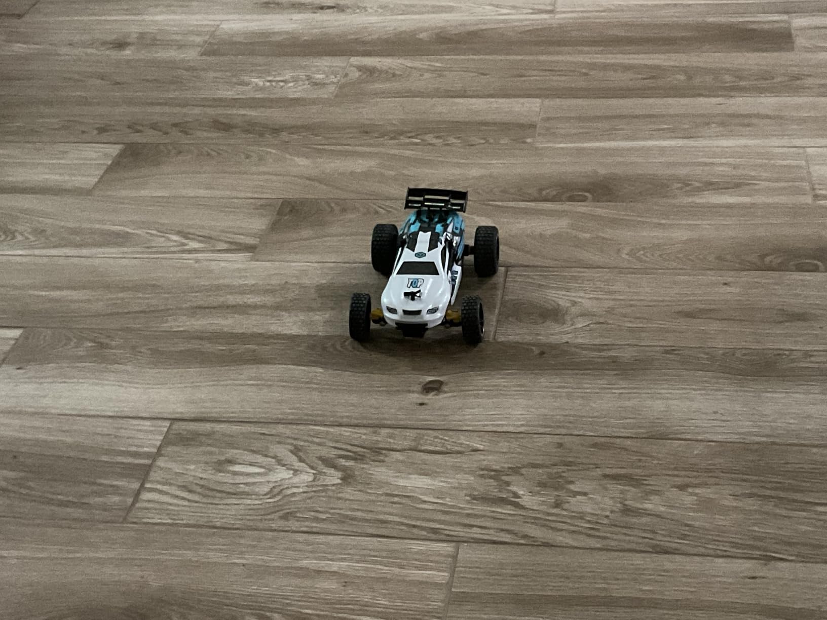 Tecnock RC Cars Remote Control Car for Kids, 1:18 Scale 20 KM/H 2WD Offroad Buggy, 2.4GHz RC Racing Car with USB-C Easy Charging & 50 Mins Playtime, Toys Gifts for Boys & Girls customer photo 2