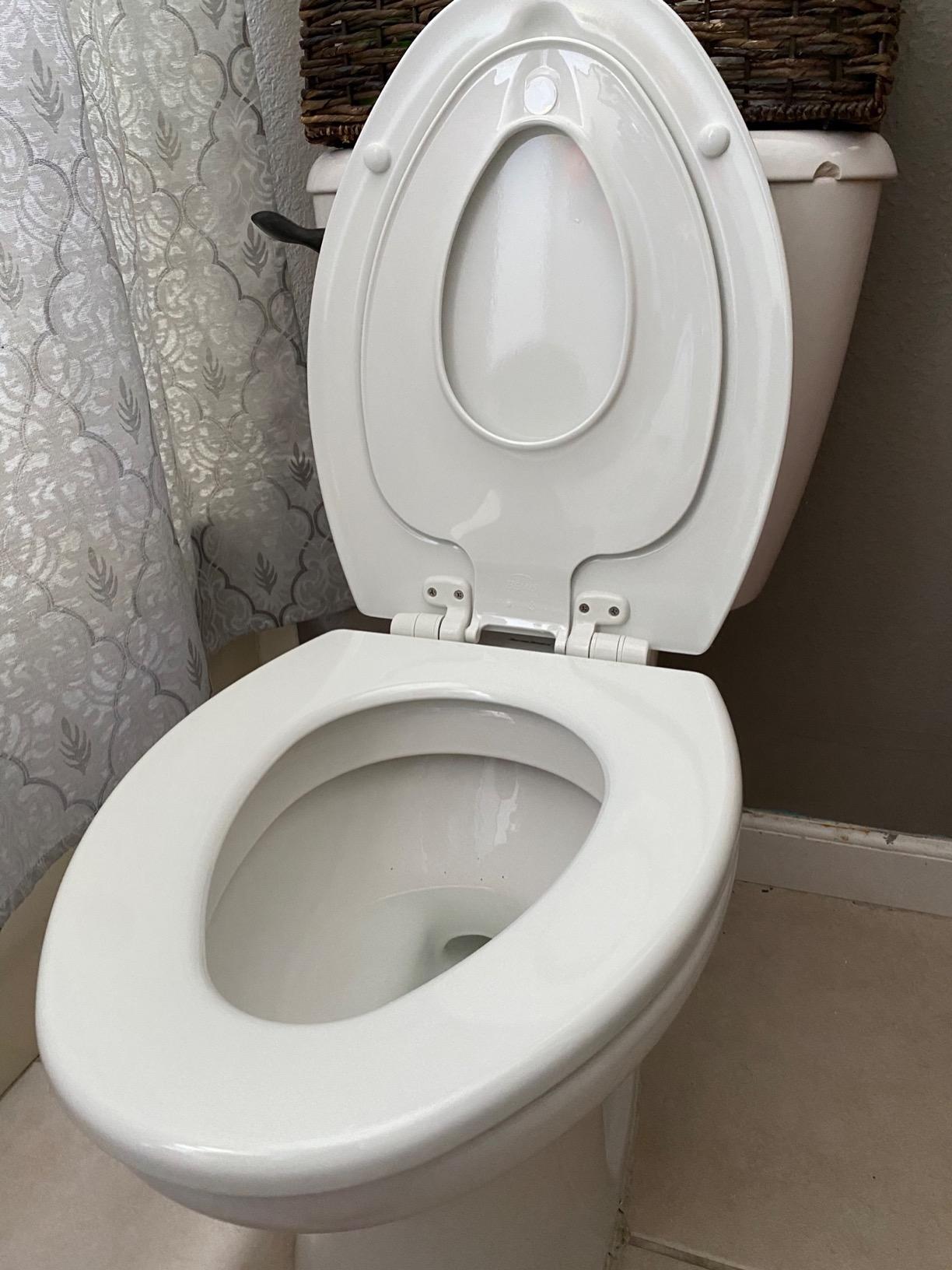 Mayfair NextStep2 Toilet Seat with Built-In Potty Training Seat, Slow-Close, Removable that will Never Loosen, Round, White customer photo 1