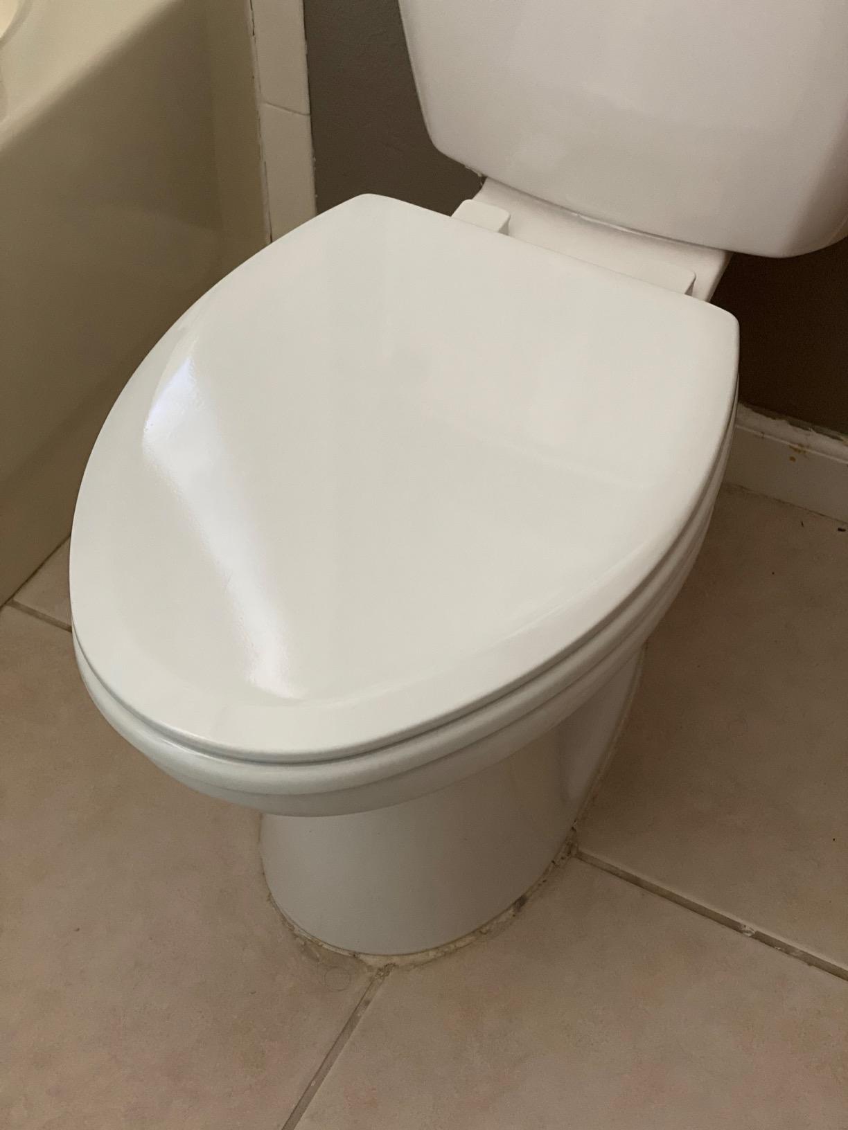 Mayfair NextStep2 Toilet Seat with Built-In Potty Training Seat, Slow-Close, Removable that will Never Loosen, Round, White customer photo 2