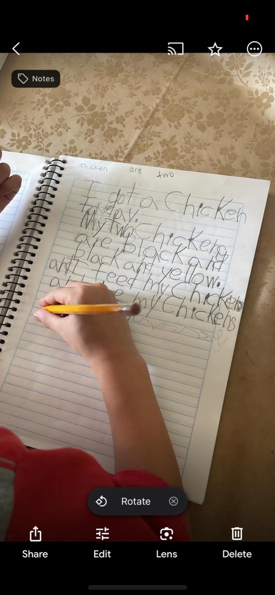 Handwriting Without Tears, 1st Grade Printing Bundle, Age 6+, 1st Grade+, Student Workbook, Writing Journal & Teacher's Guide, School & Home, Language Arts, Tutoring, Tiny Pencils, Desk Strip customer photo 1