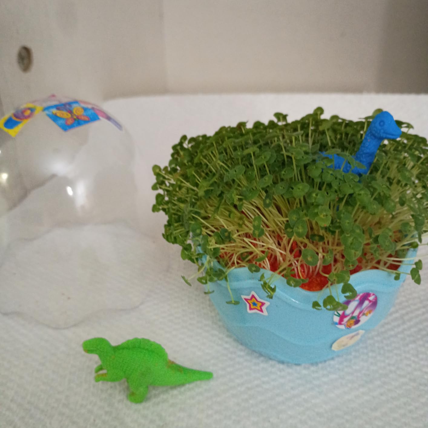 Creativity for Kids Mini Garden: Mermaid Terrarium Kit - Mermaid Gifts for Girls, Crafts and Toys, Stocking Stuffers for Kids (Ages 6+) customer photo 1