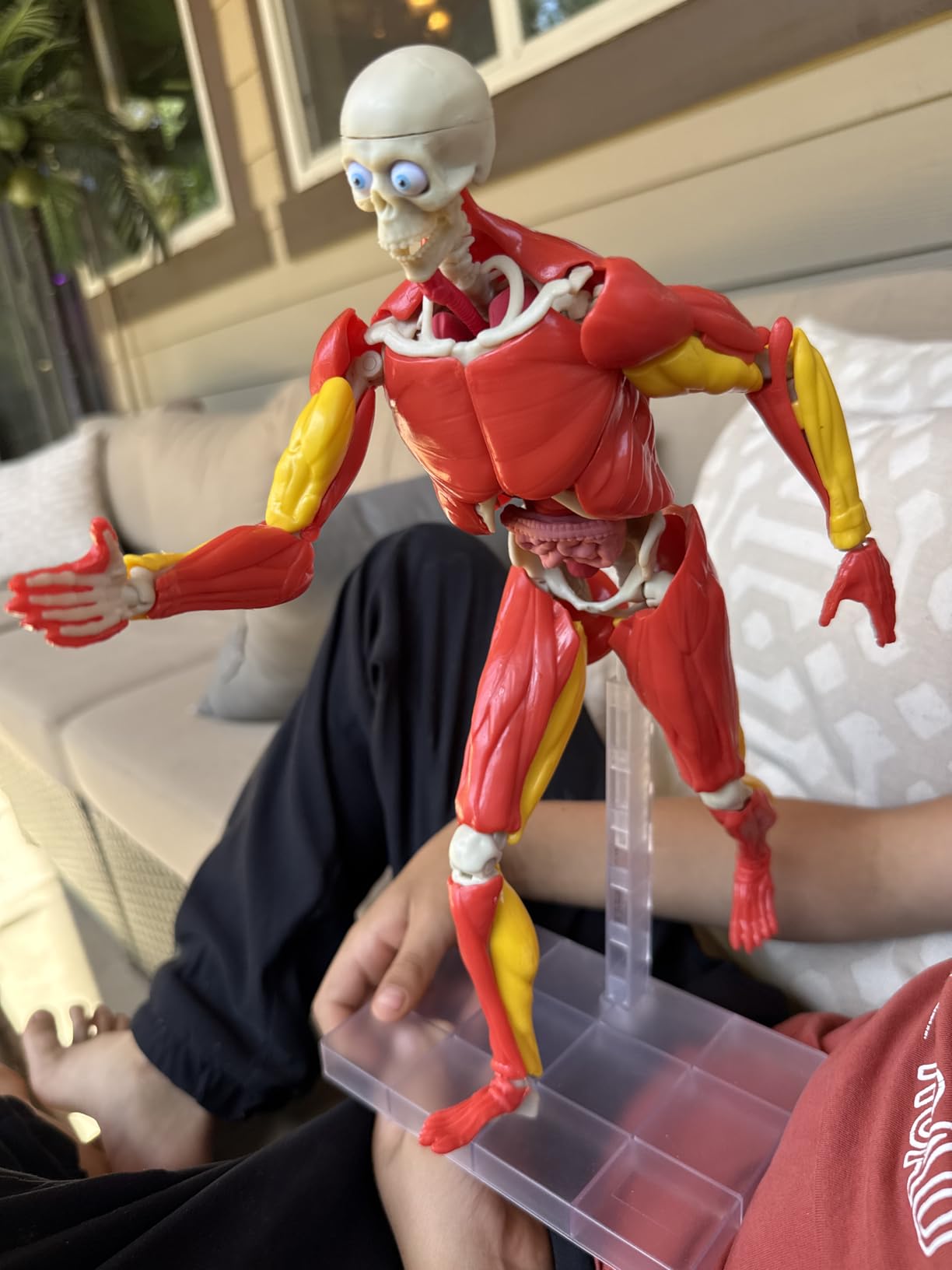 Be Amazing! Toys Interactive Human Body - 60 Piece Fully Poseable Anatomy Figure - 14
