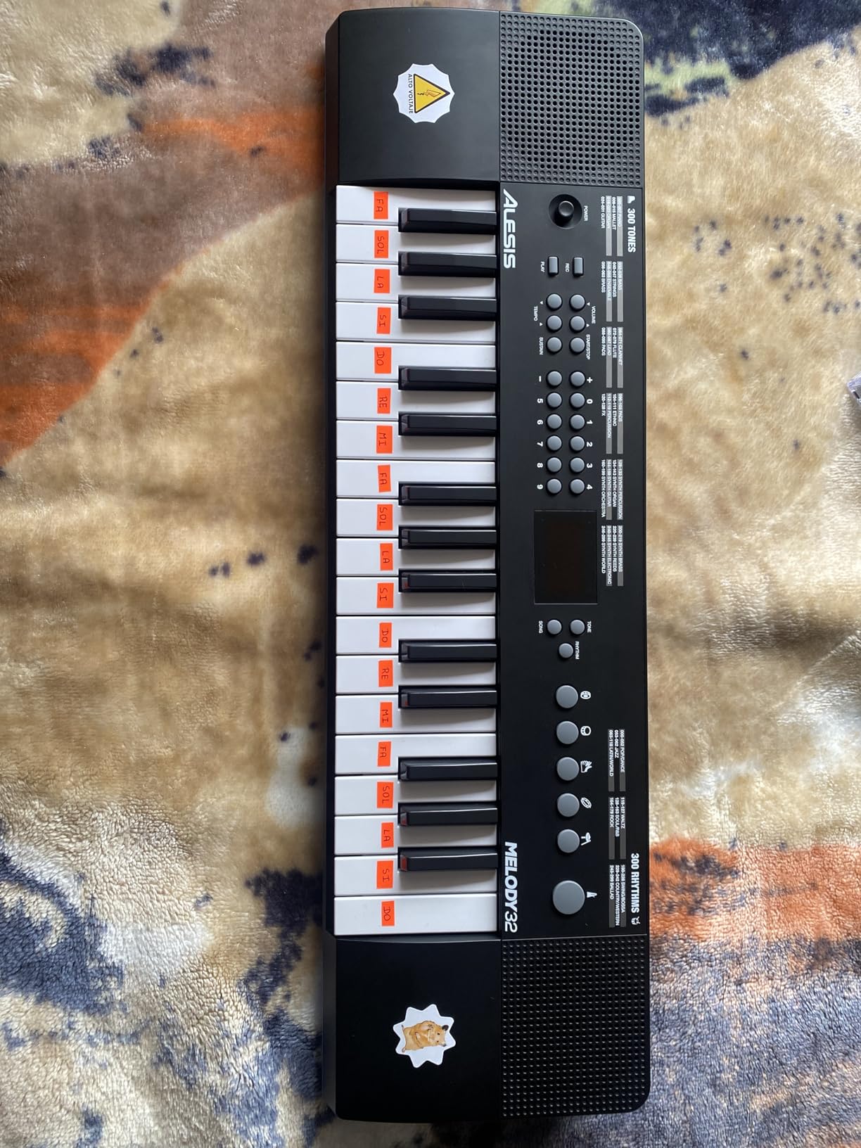 Alesis Melody 32 - Electric Keyboard Digital Piano with 32 Keys, Speakers, 300 Sounds, 300 Rhythms, 40 Songs, USB-MIDI Connectivity and Piano Lessons customer photo 1