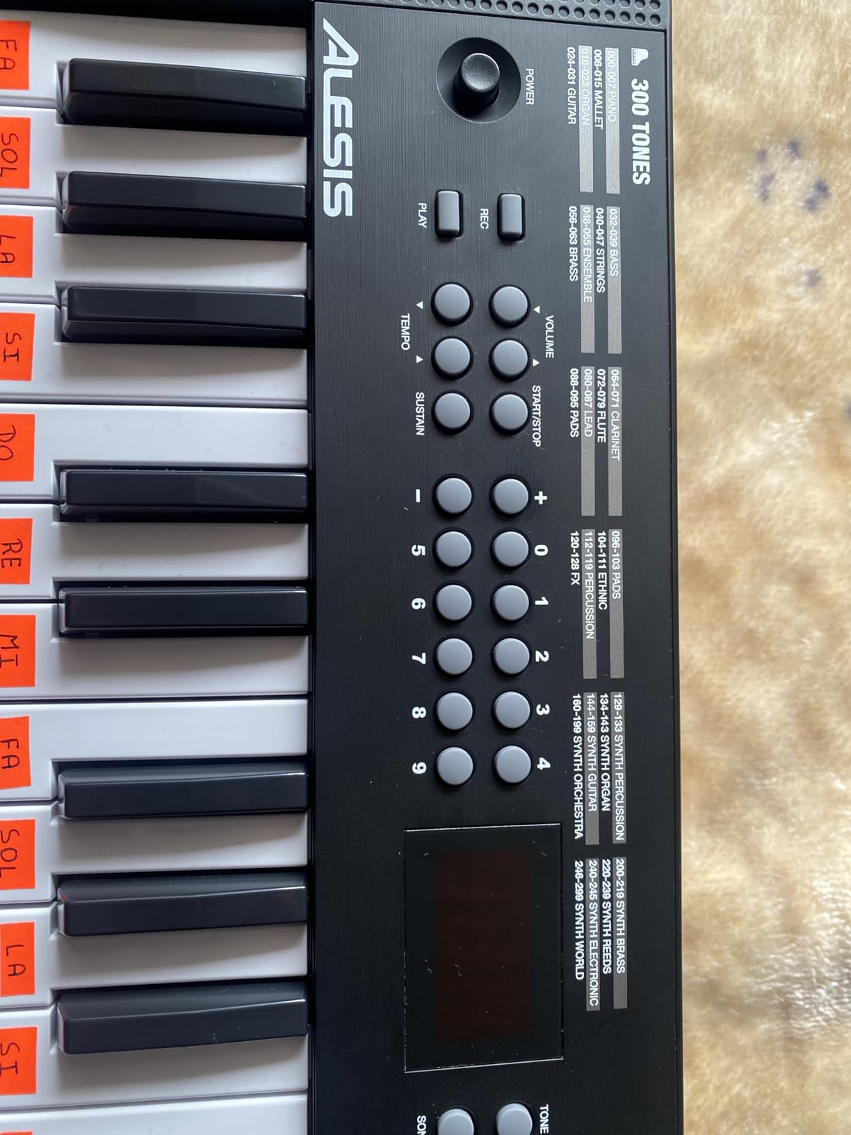 Alesis Melody 32 - Electric Keyboard Digital Piano with 32 Keys, Speakers, 300 Sounds, 300 Rhythms, 40 Songs, USB-MIDI Connectivity and Piano Lessons customer photo 2