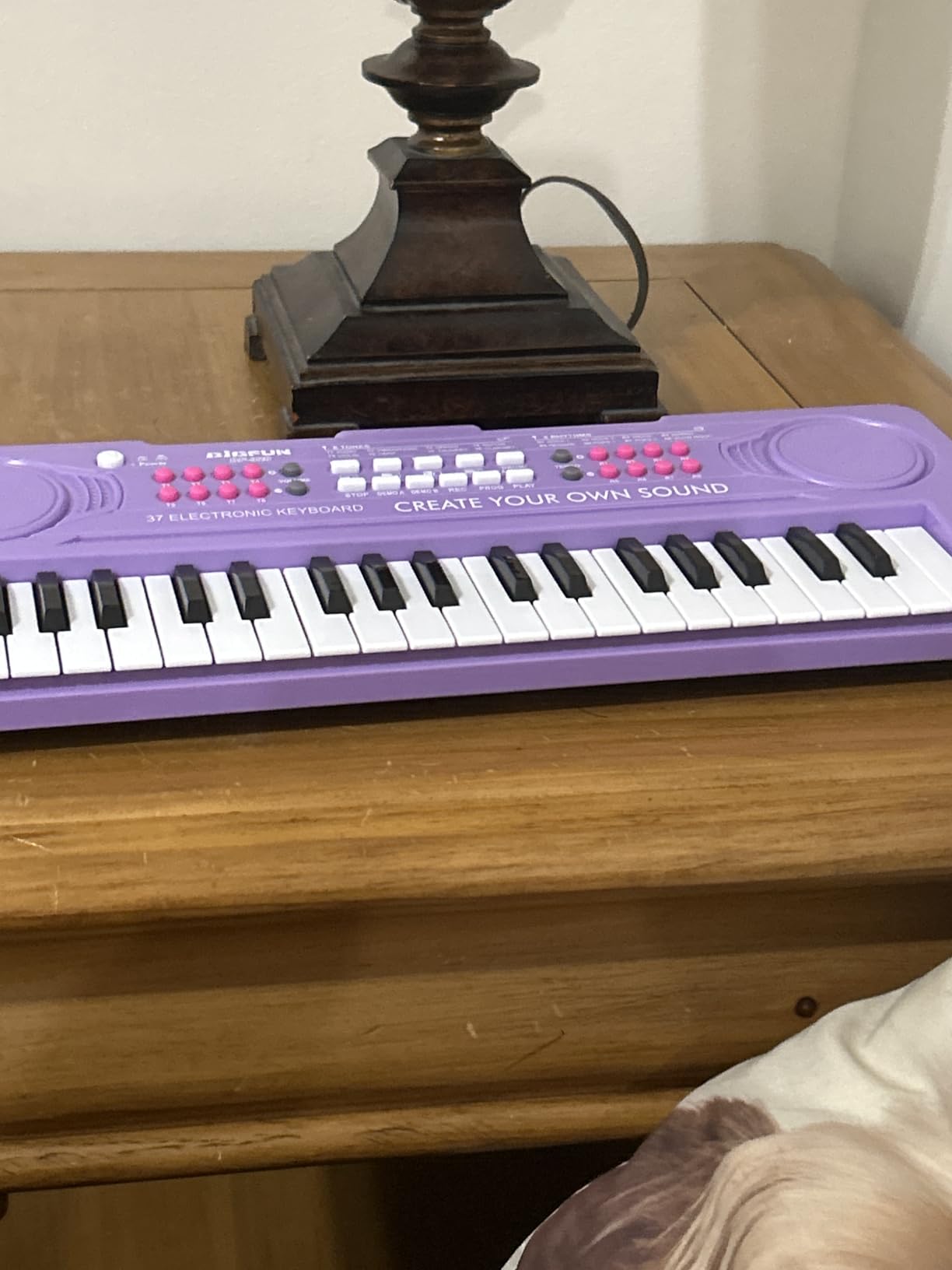 Keyboard Piano for Kids, BIGFUN 37 Keys Toddler Piano Multifunction Music Educational Instrument Toy, Electronic Kids Keyboard for 3-7 Year Old Girls and Boys (Blue) customer photo 1
