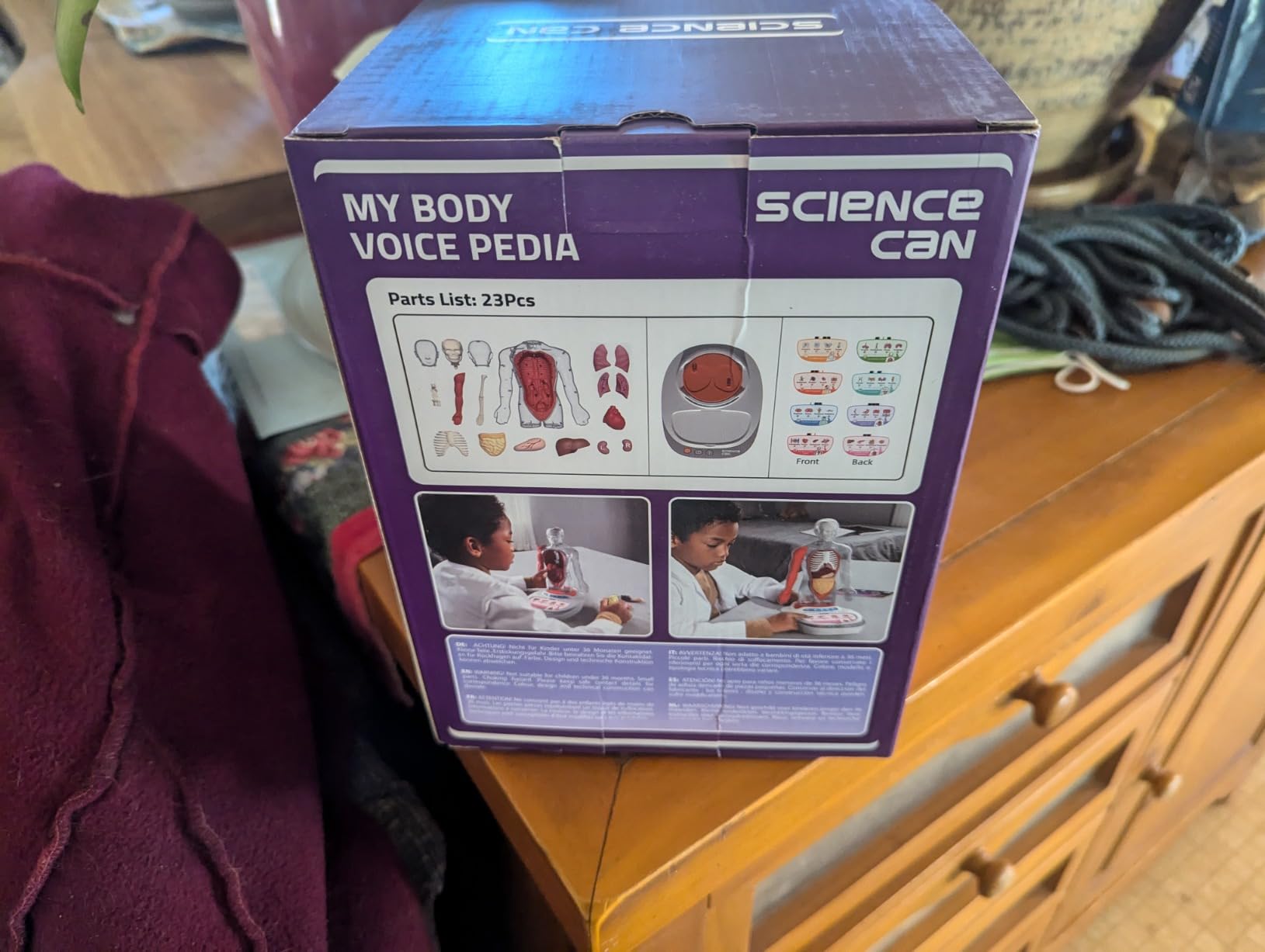Science Can Human Body Model for Kids, Interactive Human Anatomy Talking Model - 11 Inch Realistic Anatomical Assembly Kit, 15PCS Removable Parts & Guide, Educational STEM Toys Gifts for Kids Aged 6+ customer photo 1