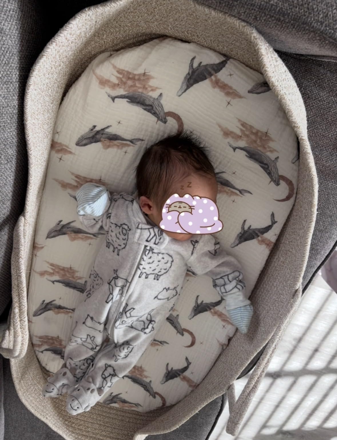Trendy Baby Changing Basket - Unisex Baby Moses Basket Set of 4 Pieces, Waterproof Pad Cover, Caddy Diaper Organizer, Cotton Blanket - Boho Basket - Nursery Decor - Bassinet Changing Table Topper customer photo 1