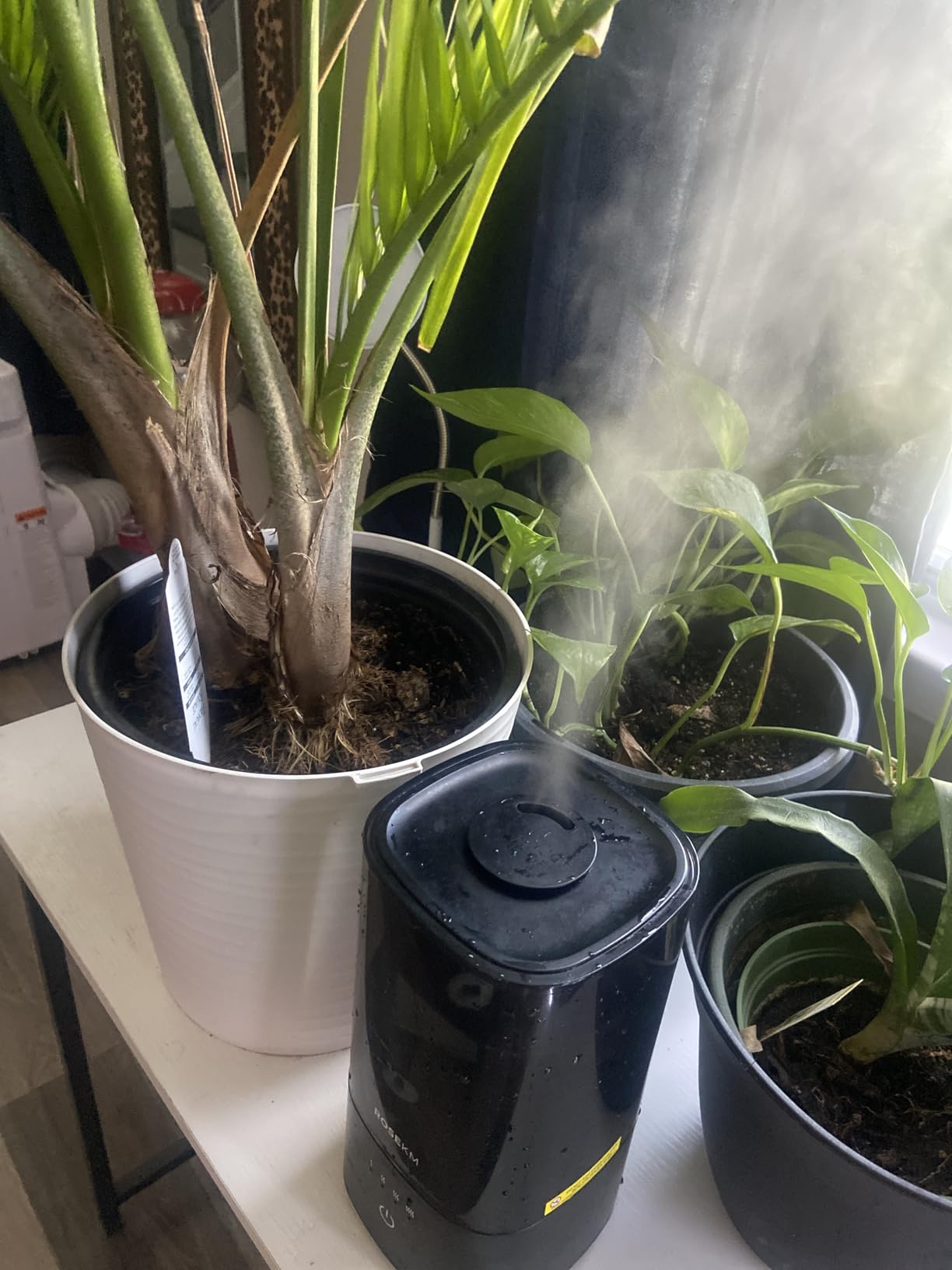 ROSEKM Humidifiers for Bedroom, 2.0L Cool Mist Humidifier for Home Plant and Baby Nursery, Quiet Ultrasonic Humidifier with 360° Nozzle, Auto Shut-Off, Filterless, Black customer photo 1