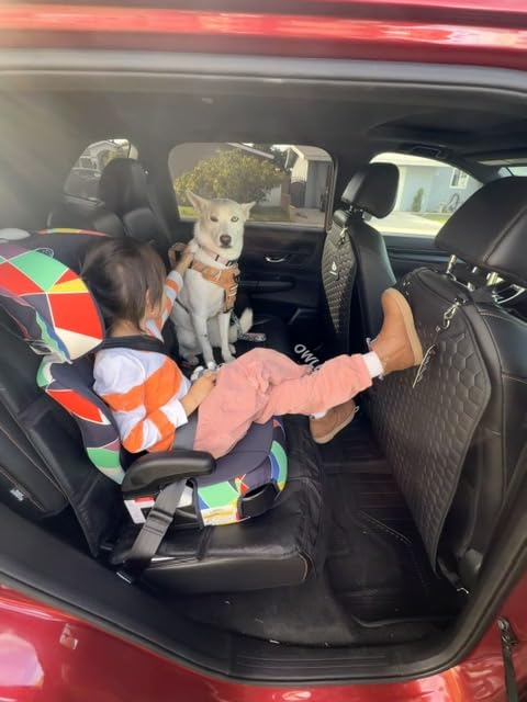 Owleys Kick Mat Back Seat Protector - Car Back Seat Cover for Kids Feet - Waterproof & Sturdy Protector for Upholstery from Dirt, Mud, Scratches and Stain (Black) customer photo 1