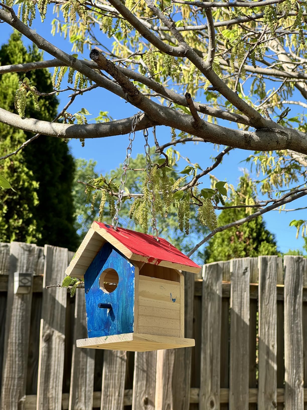 Hapinest Wooden Bird Houses to Paint and Build, Birdhouse Kit for Kids, Wood Painting Building Projects Fun Activities Arts and Crafts for Kids Ages 6-8 Girls Boys, DIY Bird House Kit 5-12 Years & Up customer photo 1
