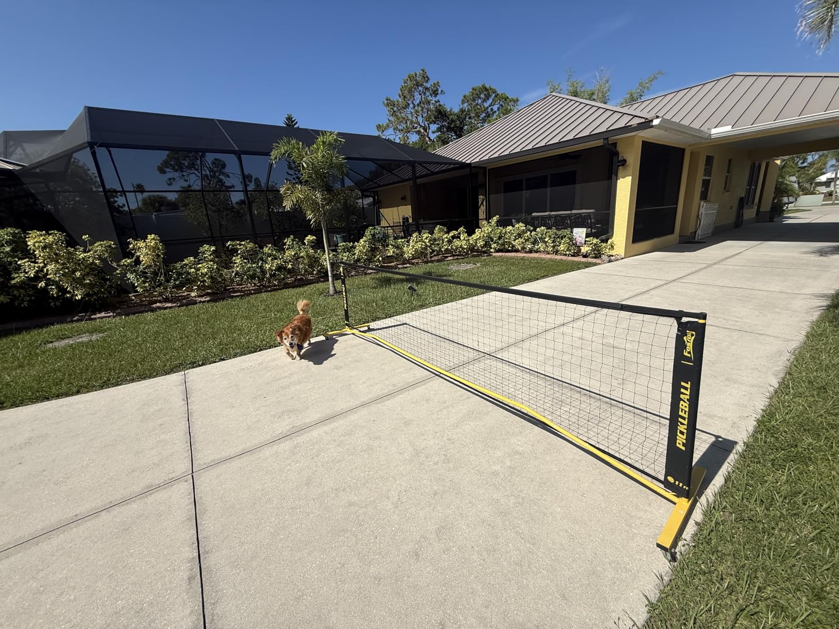 Fostoy Portable Pickleball Net Set with Wheels, Regulation Size 22 FT & Half Court 11 FT, Steady Metal Frame Pickle Ball Net Set System with Carry Bag for Backyards, Driveways, and Garages customer photo 2