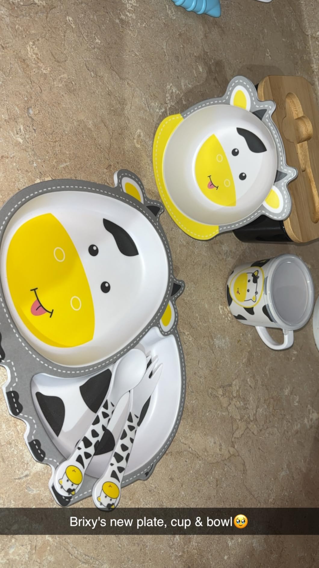 Bamboo Kids Dinnerware Set 5 Pcs Includes Plate Bowl Cup Fork Spoon Perfect for Kids BPA-Free (Little Dinosaur) customer photo 2