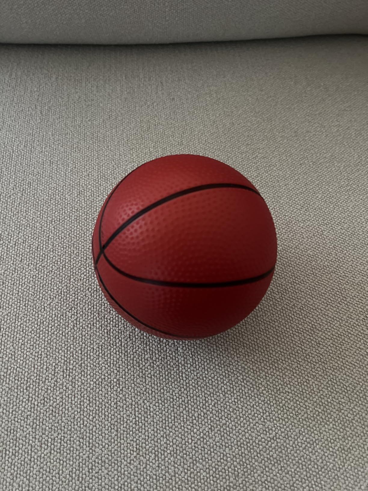 Indoor Basketball Hoop for Kids 5-10+ Year Old Boys, Mini Basketball Hoop Over The Door with Electronic Scoreboard, Sport Toys Birthday Gift customer photo 2