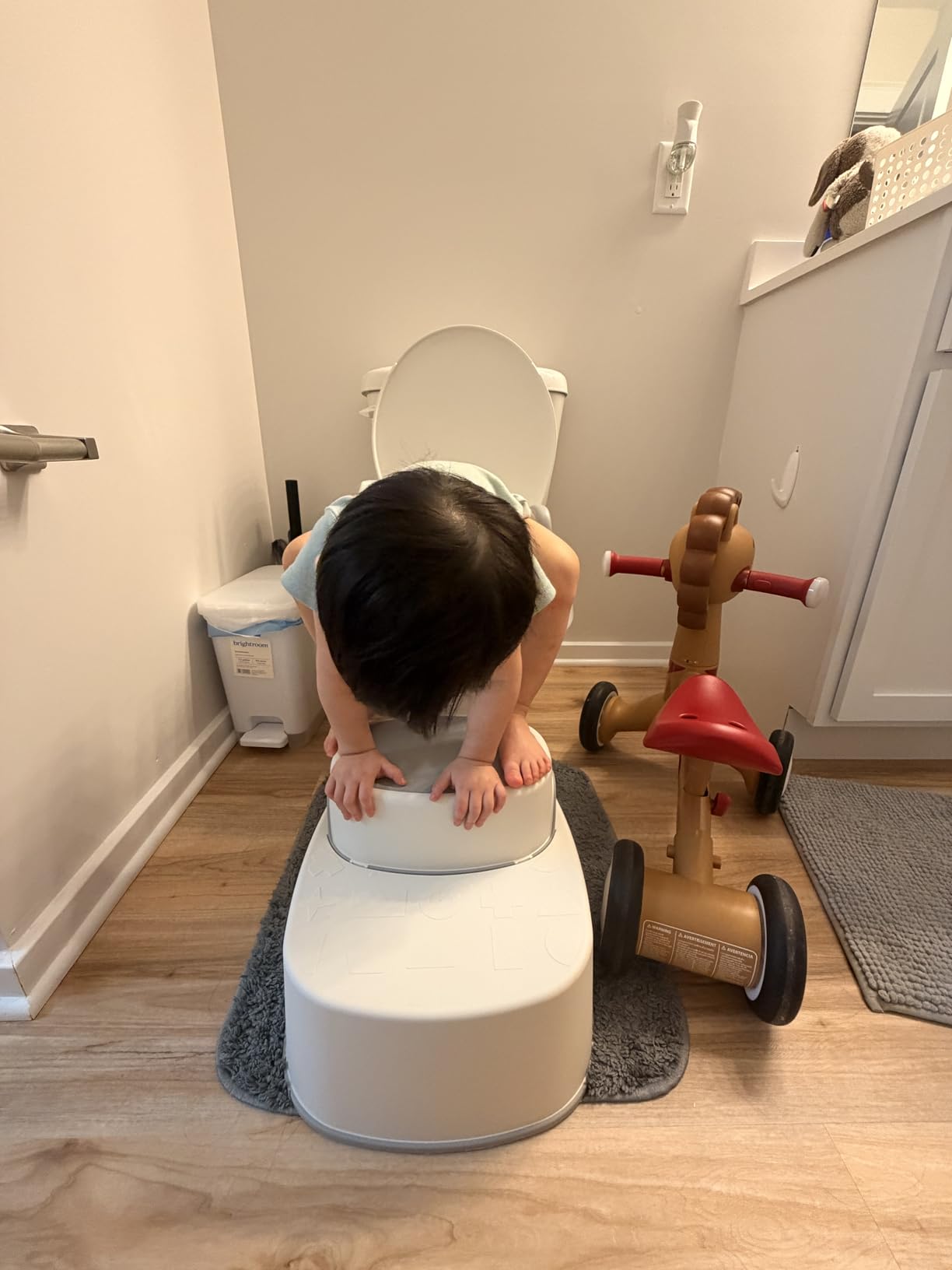 Maliton Baby Potty Training Seat with Step Stool, Potty Training Toilet for Boys Girls, Anti-Slip Toddler Stool for Bathroom, Kitchen, Toddler Toilet Seat Set customer photo 1