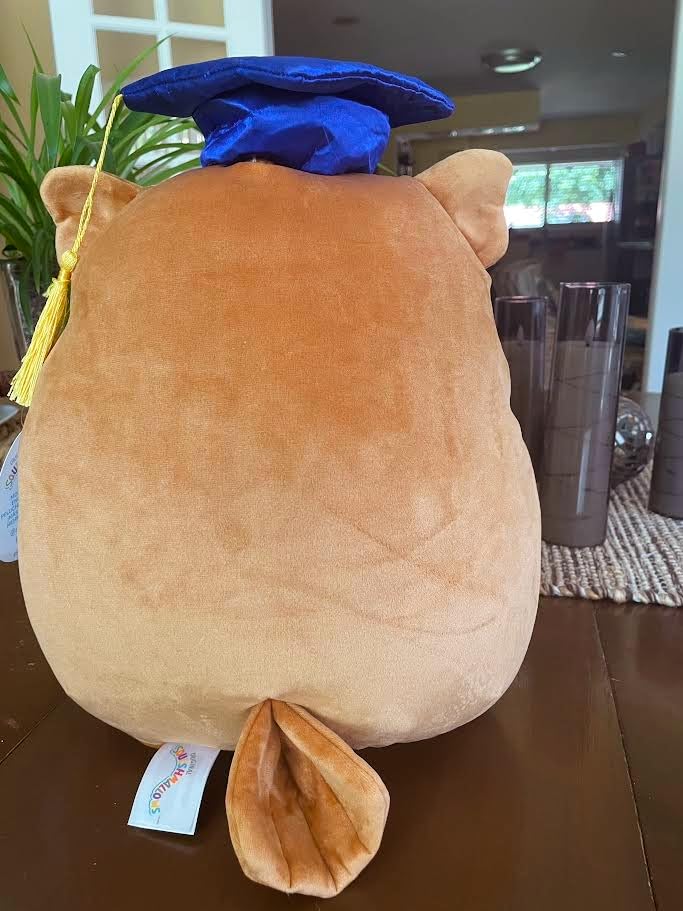 Squishmallows Original 12-Inch Arella Brown Owl with Graduation Cap - Official Jazwares Plush customer photo 1