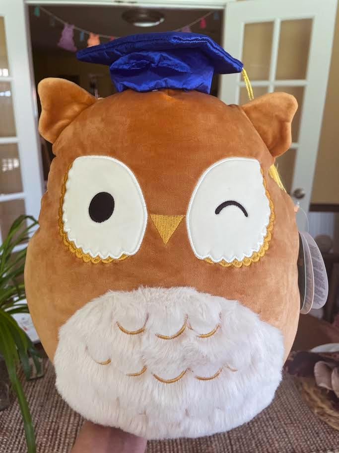 Squishmallows Original 12-Inch Arella Brown Owl with Graduation Cap - Official Jazwares Plush customer photo 2