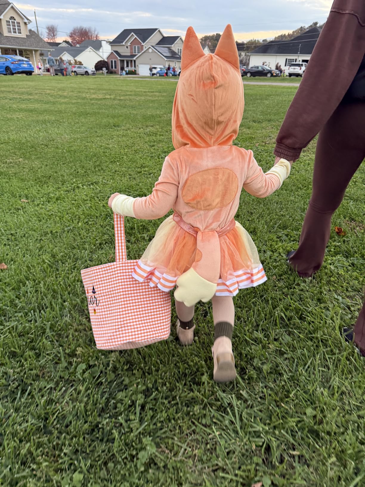 Spirit Halloween Bluey Toddler Girls Bingo Costume | Officially Licensed | Easy Costumes customer photo 1