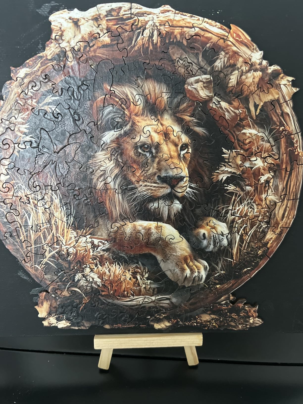 KAAYEE Wooden Jigsaw Puzzles - Wooden Puzzle Adult Unique Shape Advanced Phoenix Wooden Jigsaw Puzzle, 290pcs customer photo 2