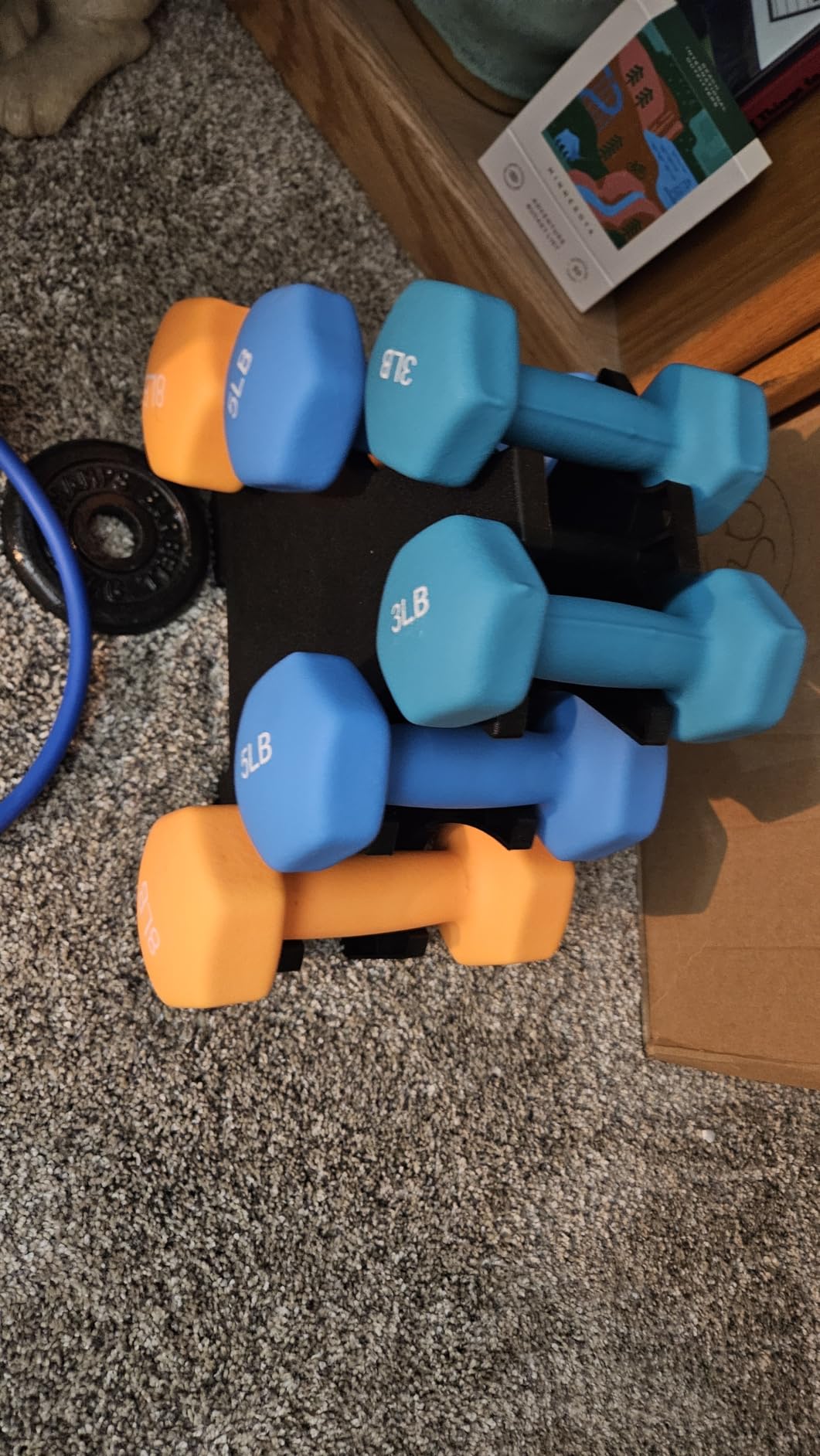 Fitvids Set of 6 Neoprene Dumbbell Hand Weights, Set with Rack: 3/5/8 Pairs customer photo 1