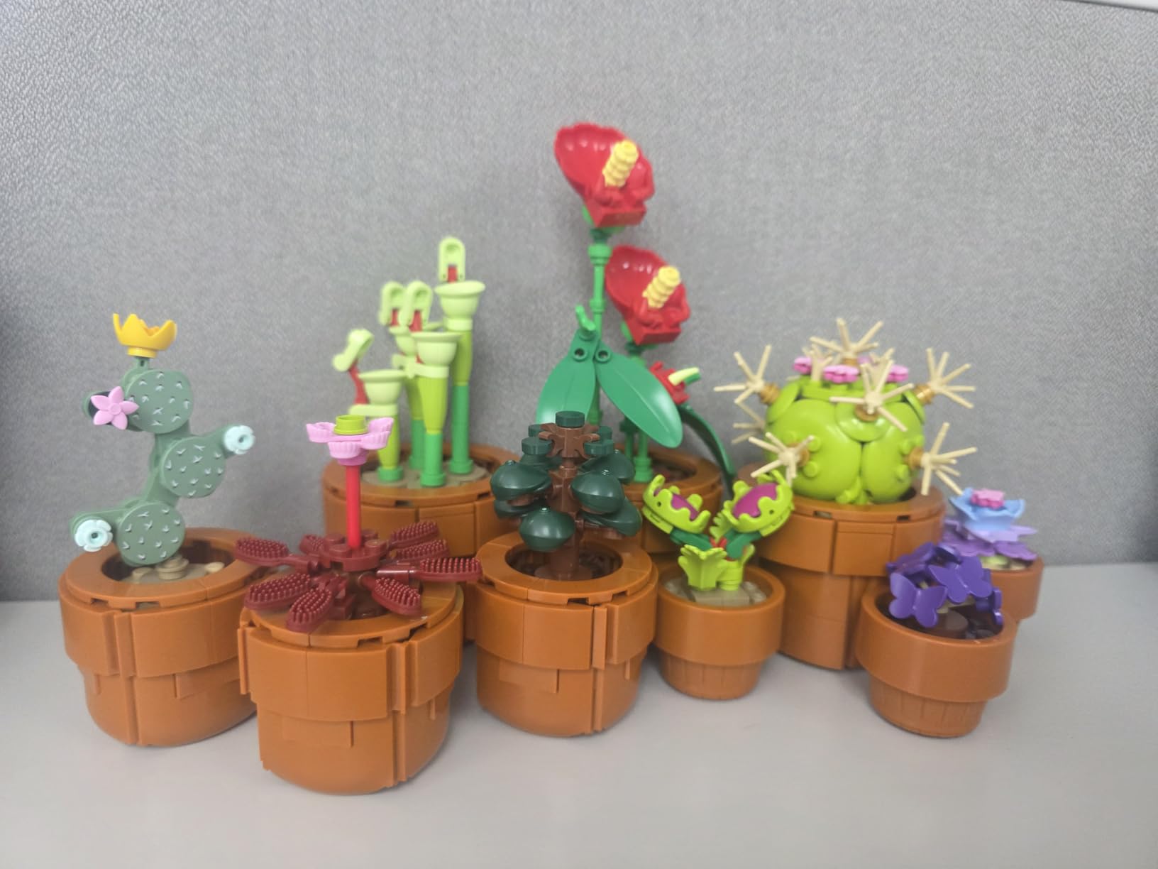 LEGO Botanicals Tiny Plants Artificial Indoor Plant Building Set (10329) customer photo 2
