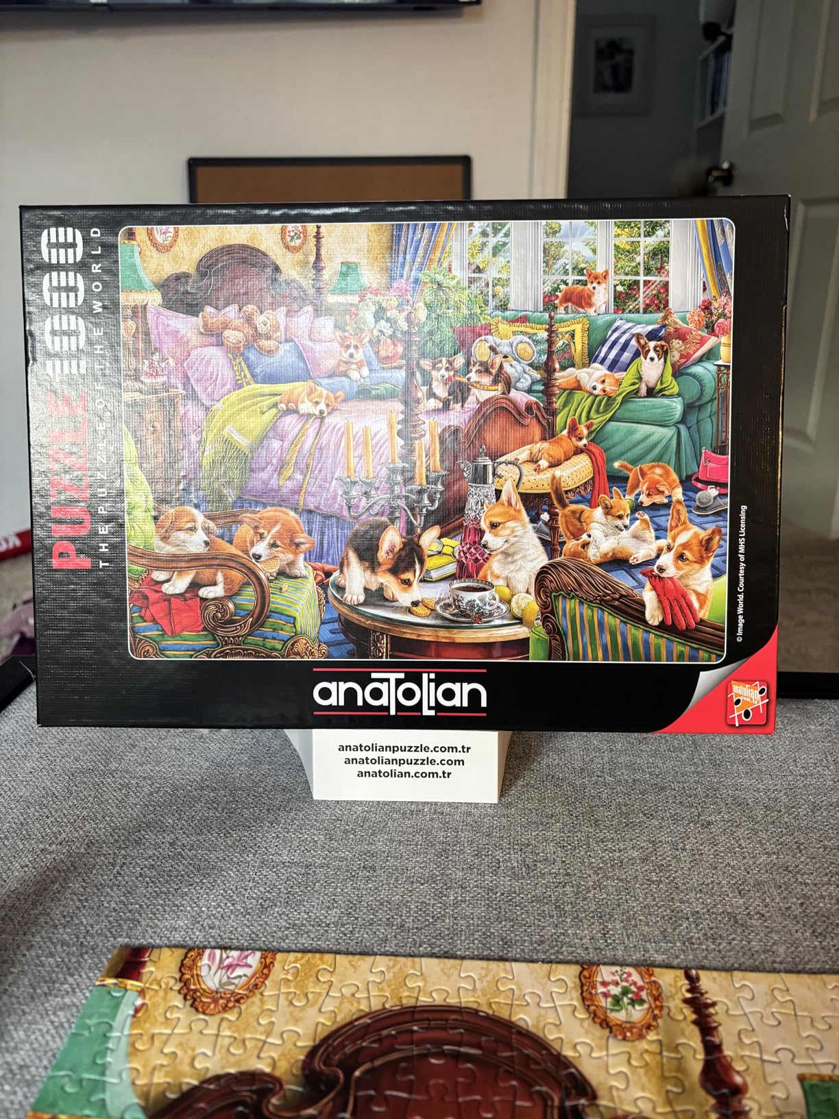 Anatolian Puzzle - Kittens in The Living Room, 1500 Piece Jigsaw Puzzle, #4575 customer photo 1