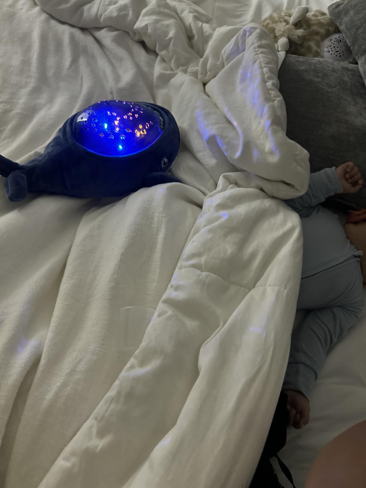 Angelcare Bobbi The Whale Ceiling Night Light Projector for Babies and Kids, Sleep Soother with Adjustable Volume Lullabies, White Noises, 3 Night Light Intensities customer photo 1