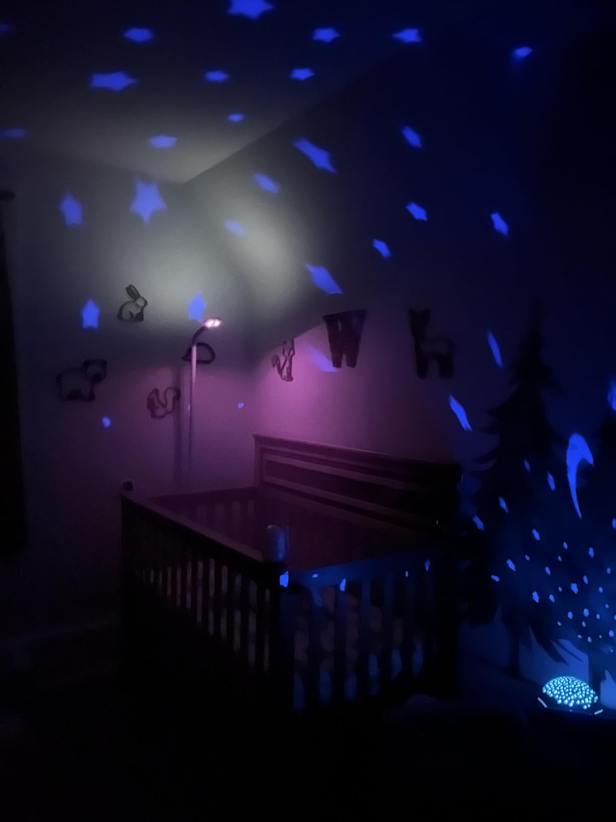Angelcare Celeste Musical Mushroom Night Light Baby Projector - Sleep Soother with Adjustable Volume Lullabies, White Noises, 3 Night Light Colors, and Cry Sensor Detector customer photo 2