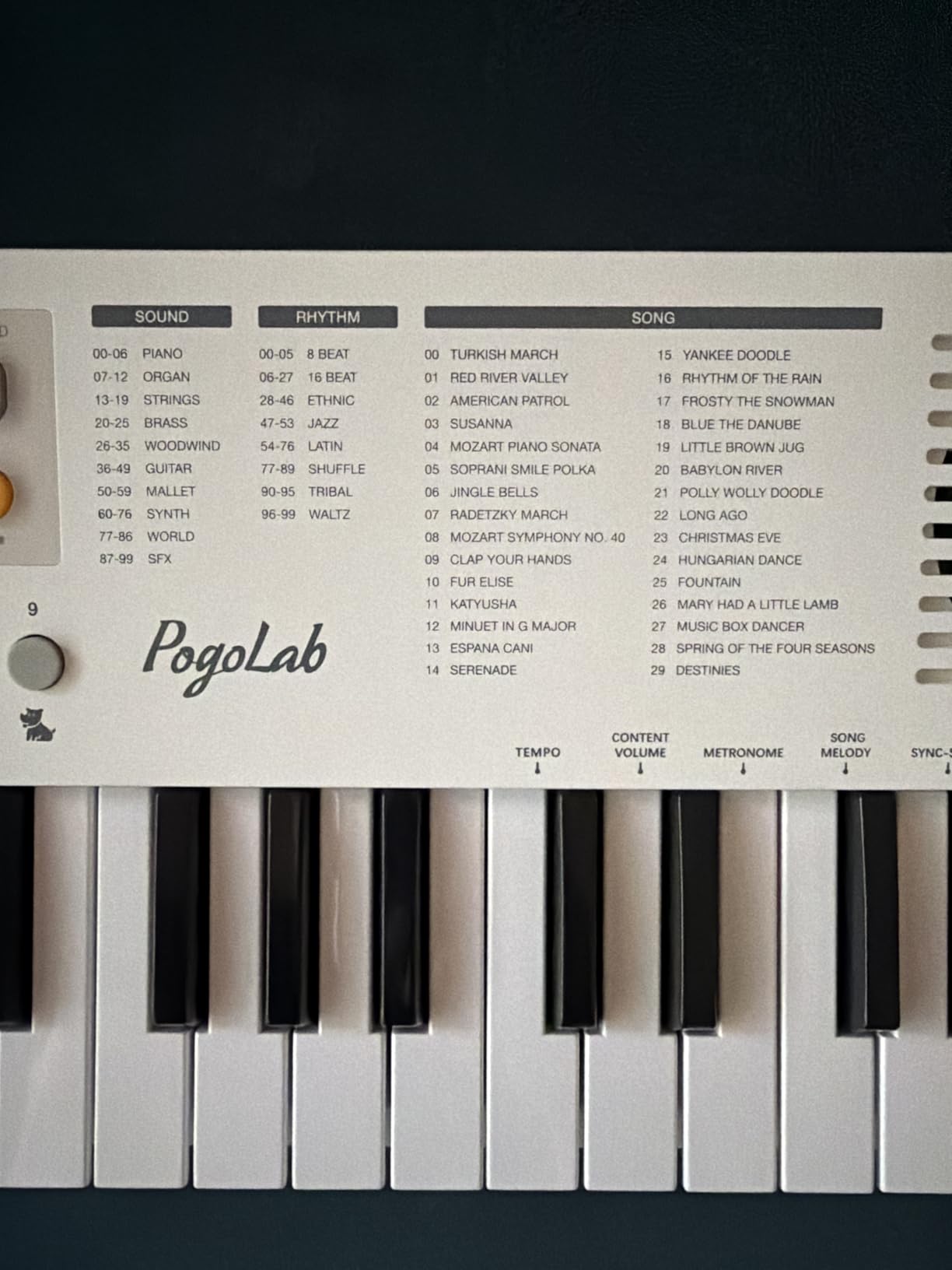POGOLAB MK1 37 Keys Kids Keyboard Piano, Mini Portable Multi-Function Piano with Excellent Sound Quality, Built-In Speaker & LED Display, Small Electric Music Keyboard Gift for Beginners (White) customer photo 1