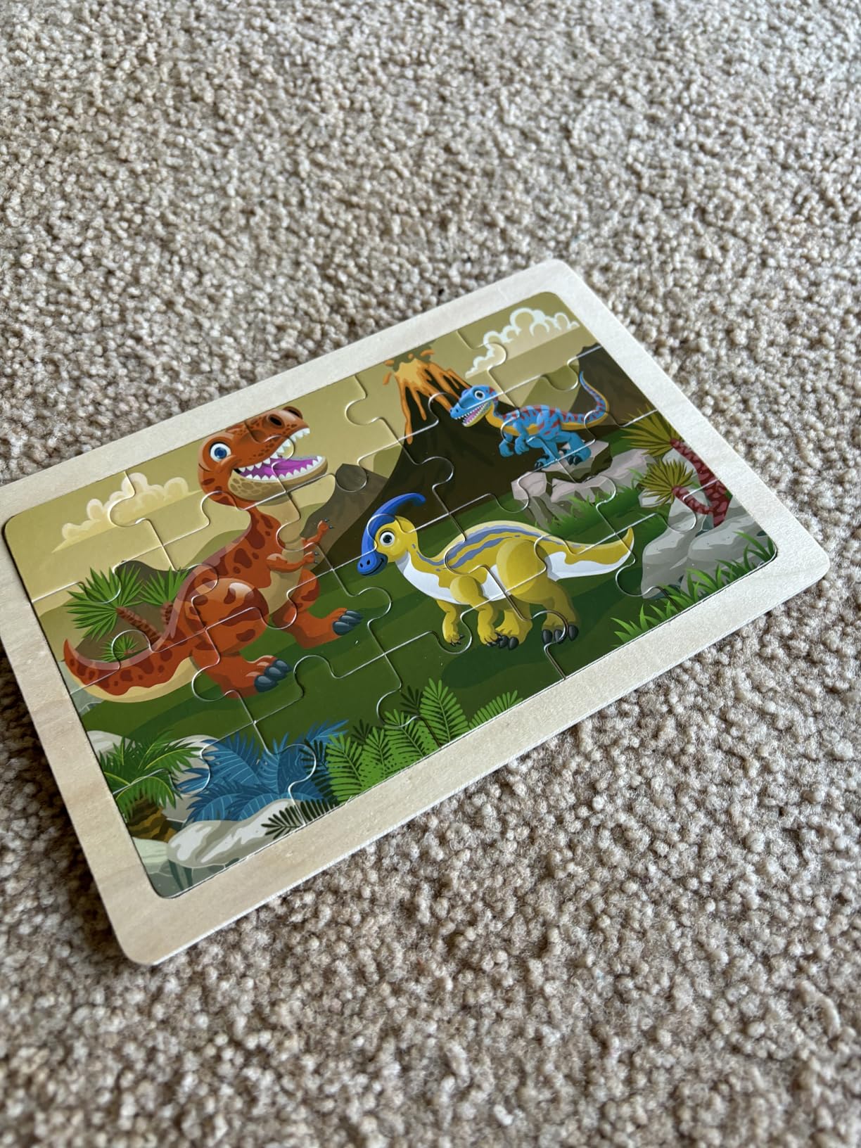 Wooden Puzzles Dinosaur Toys for Kids Ages 3-5, Set of 4 Packs with 20-Piece Wood Jigsaw Puzzles, Preschool Educational Brain Teaser Boards for Boys and Girls 3 4 5 6 Years Old customer photo 2