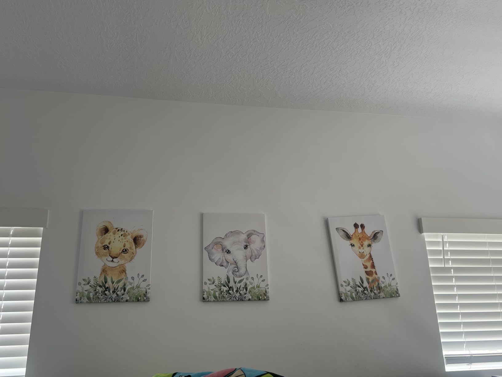 Baby Safari Nursery Wall Decor - Set of 3 Pictures Cute Animal Wall Prints on Canvas Jungle Nursery Safari Decor Gifts for Baby Boys and Girls Room, Framed Wall Art 12 x 16 Inch customer photo 2