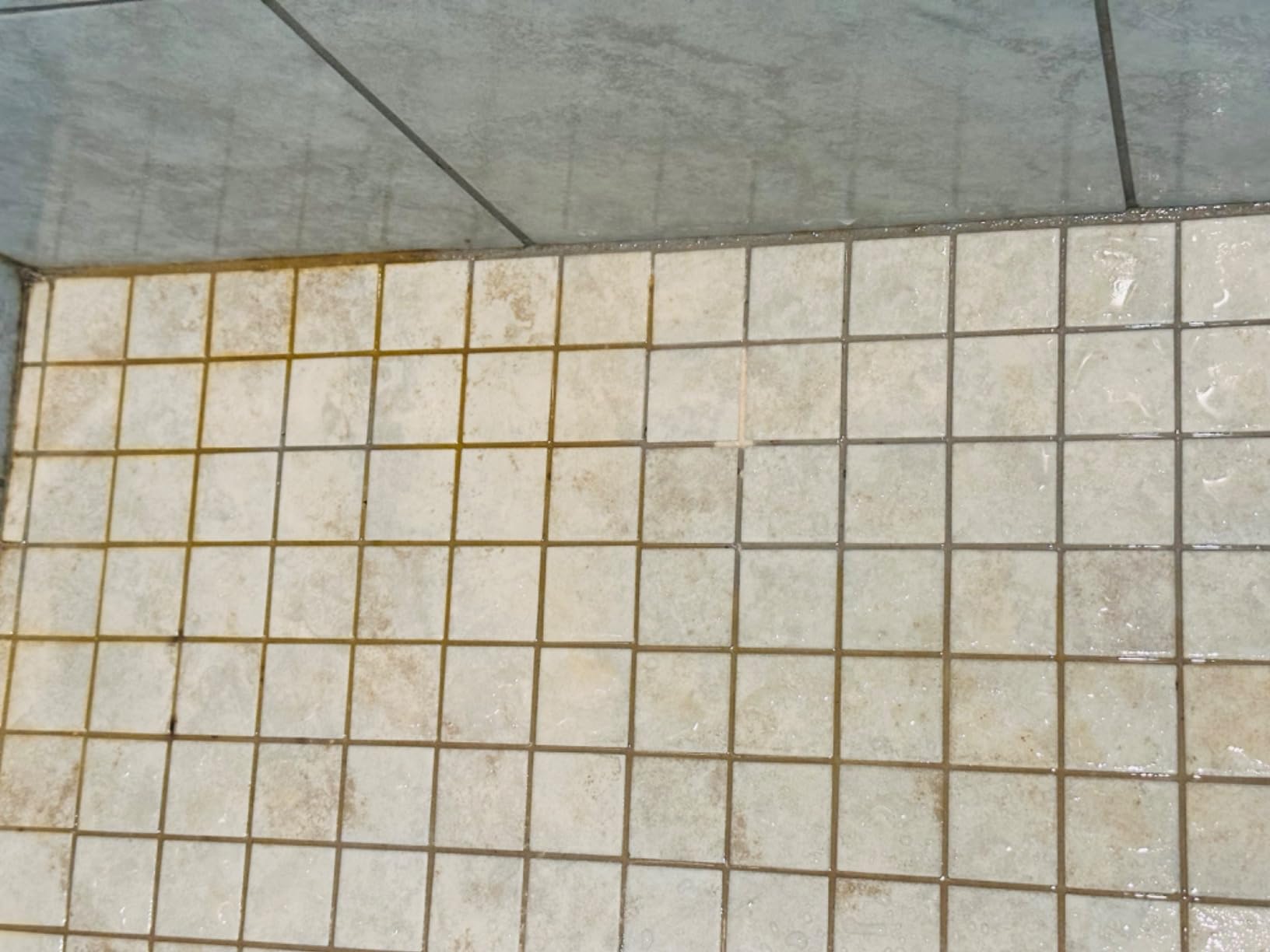 Kärcher Steam Cleaner, Multi Purpose, Power Steamer, Chemical-Free, 40 Sec Heat-Up, for Grout, Tile, Hard Floors, Appliances & More - SC 3 Easy Fix customer photo 1