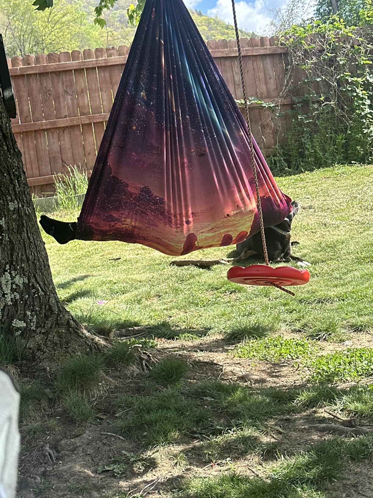 HiCamer Double Layer Sensory Swing for Kids and Adults Holds up to 300lbs Indoor and Outdoor Therapy Cuddle Swing with 360 Degree Swivel Hanger Kit Adjustable Swing with Aspergers Autism ADHD, Aurora Green customer photo 1