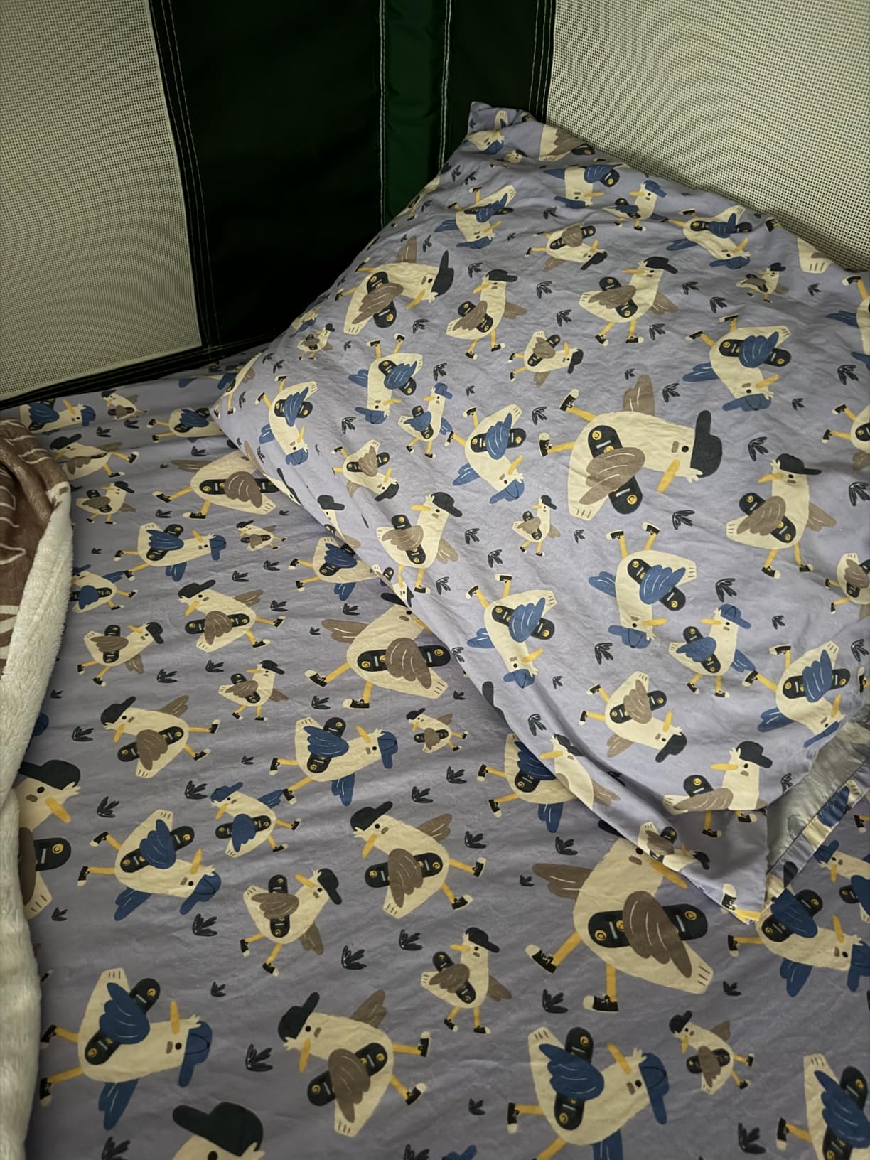 Salt Earth 100% Cotton 210TC Kids Bedsheet, Twin Sheets Set for Toddler Bed, 3 Piece Bedding Set Including Flat Sheet, Fitted Sheet, and Pillowcase (Summerland) customer photo 1
