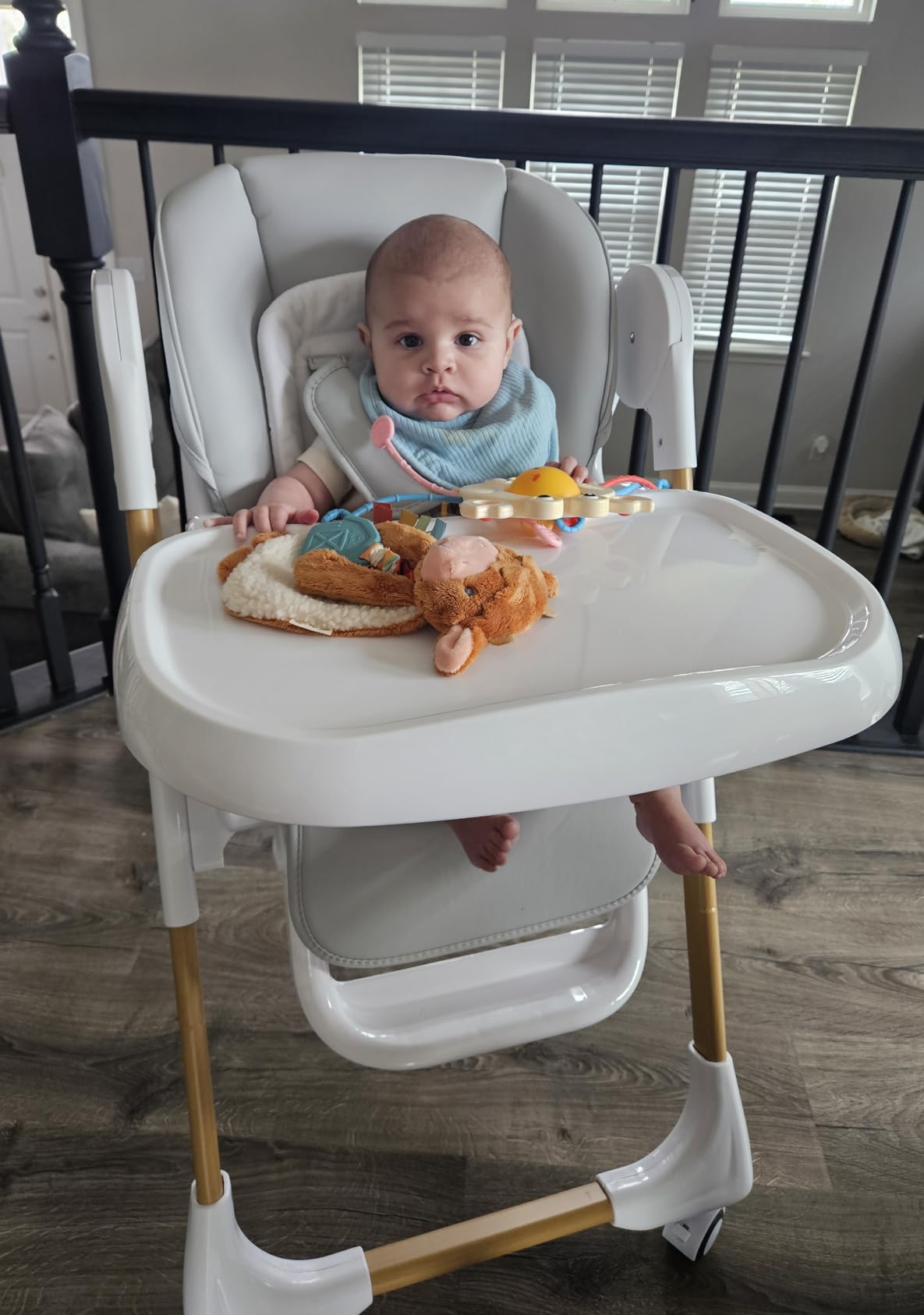 Mallify Convertible High Chairs for Babies and Toddlers, Height Adjustable Baby High Chair, High Chair with Removable Tray, Adjustable Backrest, Portable Baby Dinning Chair with Lockable Wheels customer photo 1