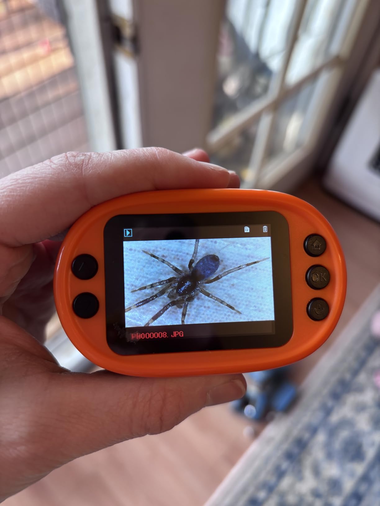 1000X Handheld Microscope for Kids 4K 2.0