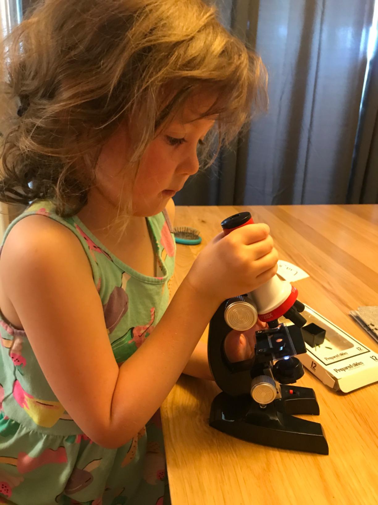 Kids Microscope Kit with LED Light - 100X/400X/1200X Magnification for STEM Learning, 12 Prepared Slides, Easy-to-Use Science Learning Kit (Ages 5-12) - Black customer photo 1